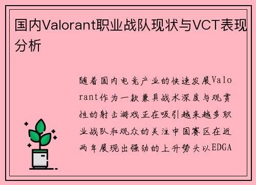 国内Valorant职业战队现状与VCT表现分析